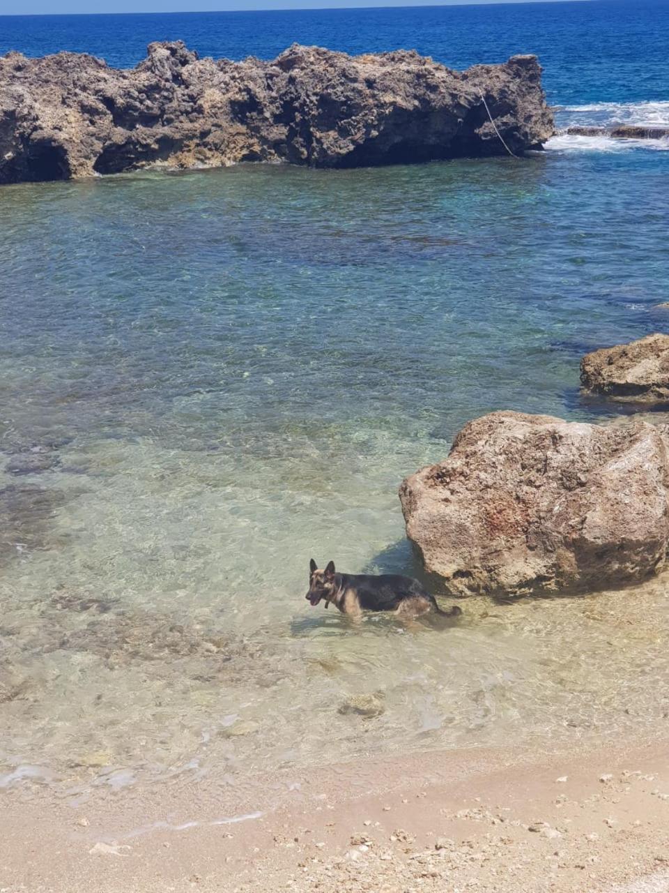Forever Cottage Robins Bay Bagian luar foto