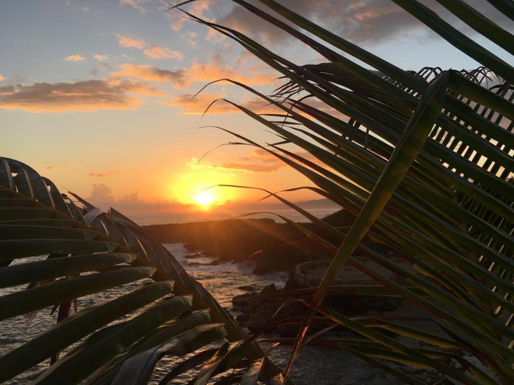 Forever Cottage Robins Bay Bagian luar foto